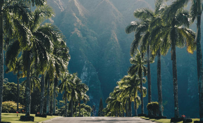 Guille Pozzi - Valley of the Temples, Kaneohe, United States